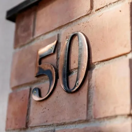 Daire Kollar D - Prenociste