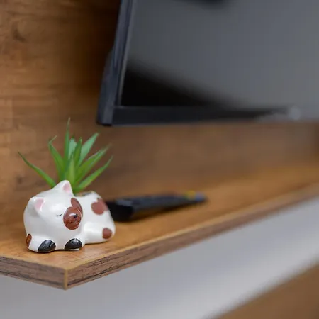 Kollar D - Prenociste Daire