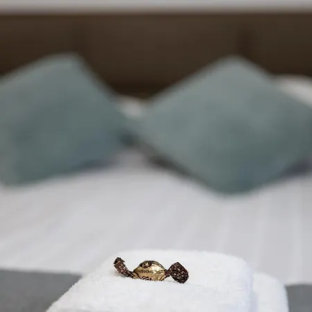 Kollar D - Prenociste Apartament Subotica