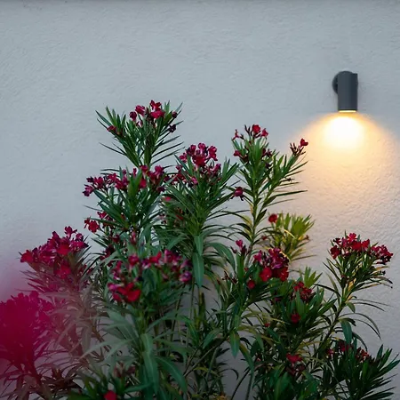 Kollar D - Prenociste *